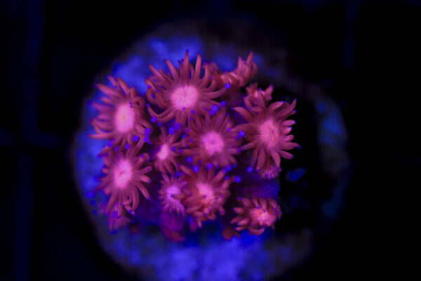 import placeholder for 2997226