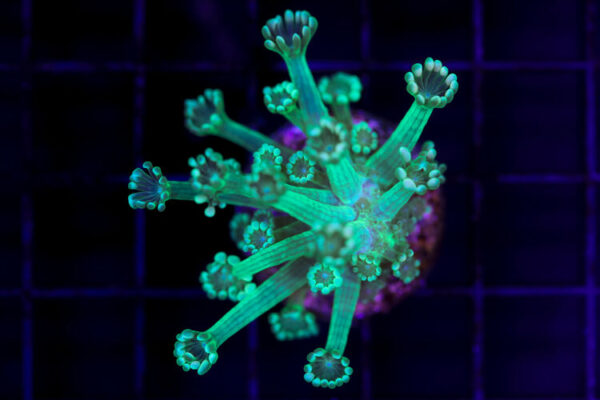 import placeholder for 2997219