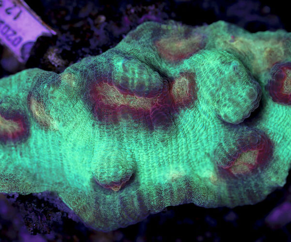 import placeholder for 2997209