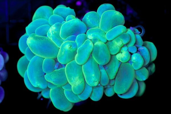 import placeholder for 2997166