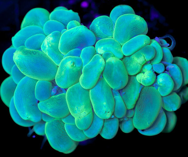 import placeholder for 2997166