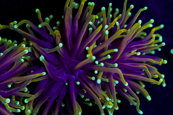 import placeholder for 2994882