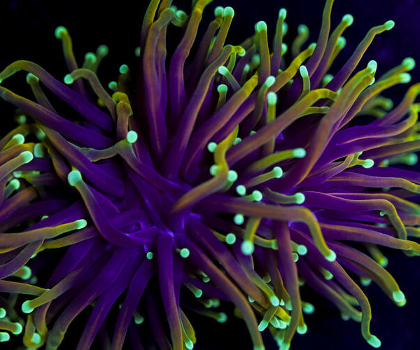 import placeholder for 2994882