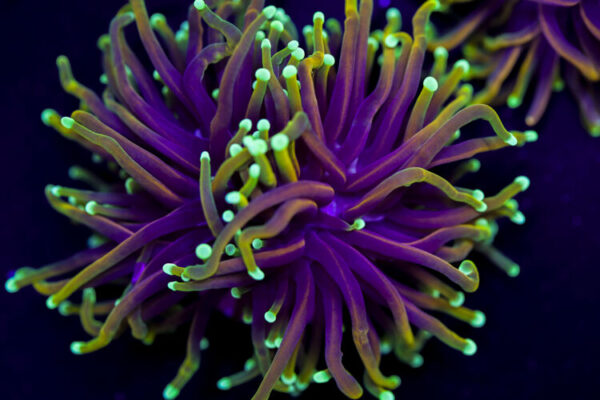 import placeholder for 2994881