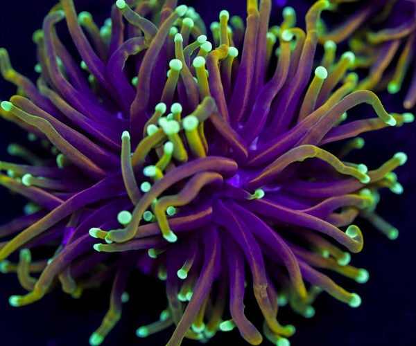 import placeholder for 2994881