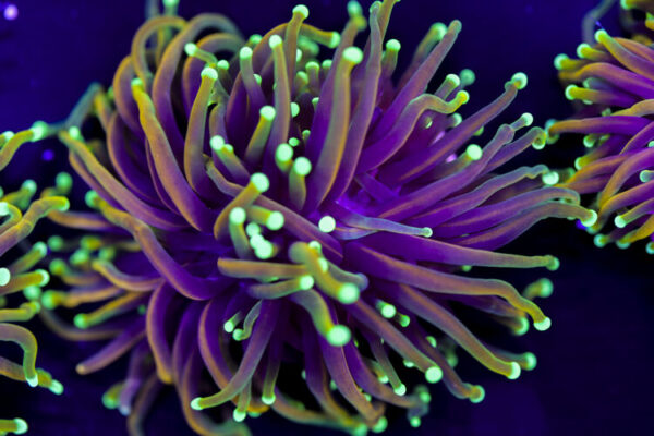 import placeholder for 2994879