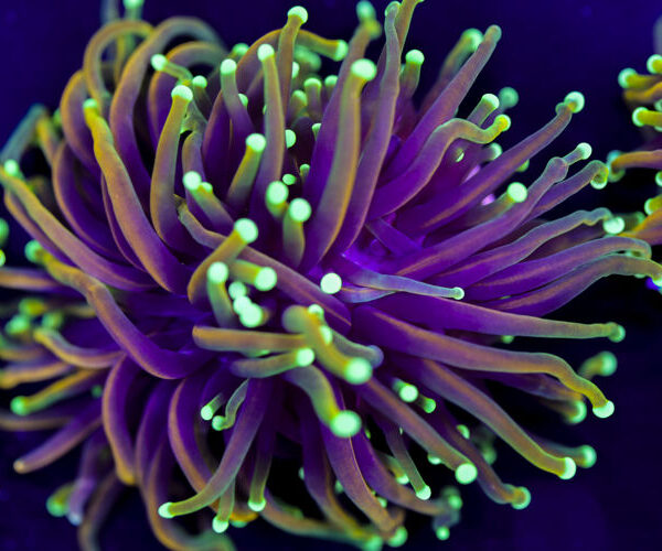 import placeholder for 2994879