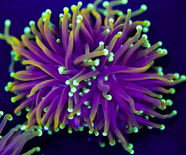 import placeholder for 2994878