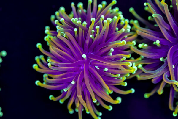 import placeholder for 2994877