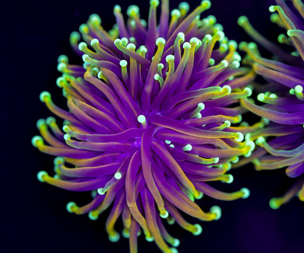 import placeholder for 2994877