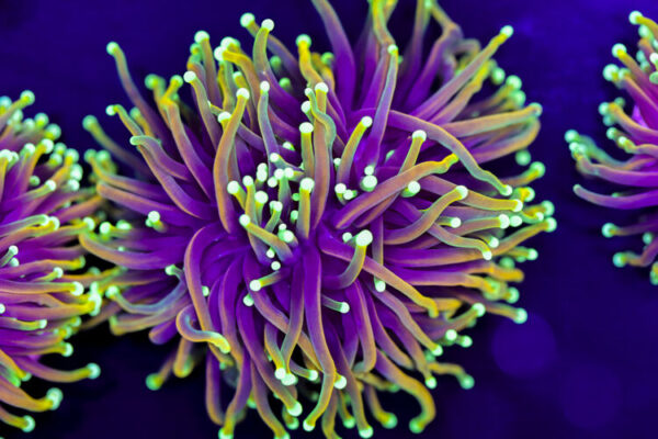 import placeholder for 2994876