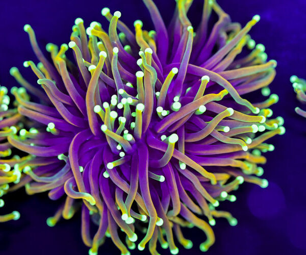 import placeholder for 2994876