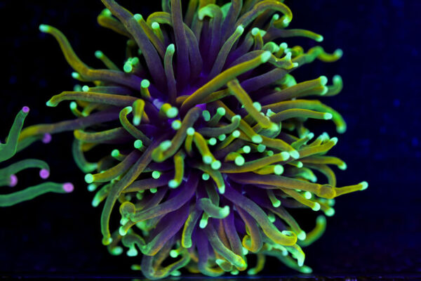 import placeholder for 2994871