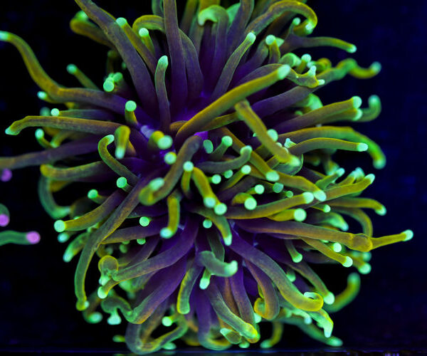 import placeholder for 2994871