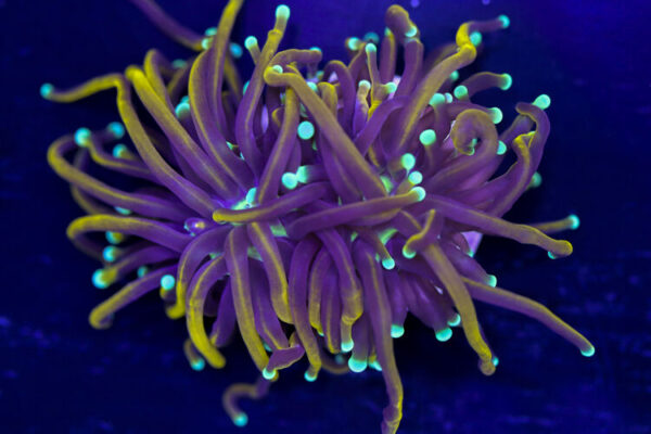 import placeholder for 2994855