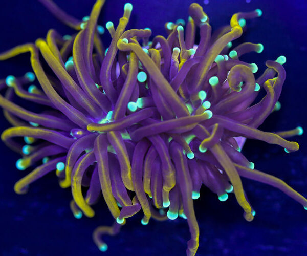 import placeholder for 2994855