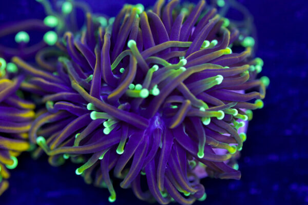 import placeholder for 2994853