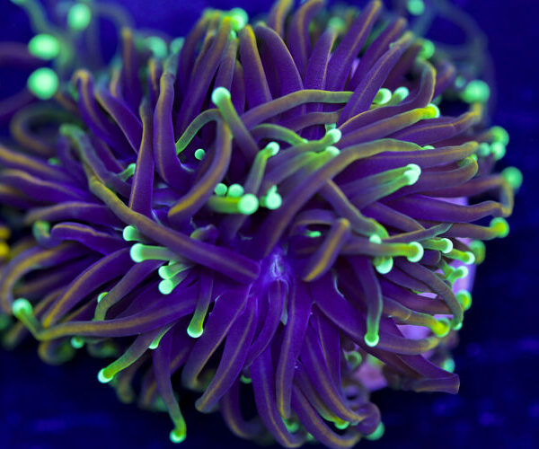 import placeholder for 2994853