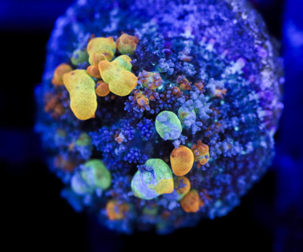 import placeholder for 2994224