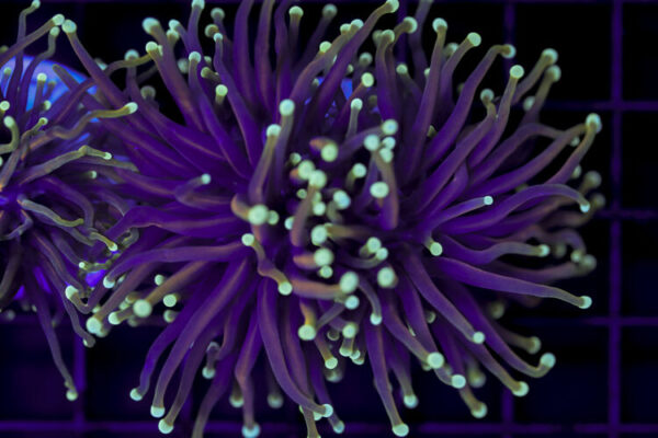 import placeholder for 2993351