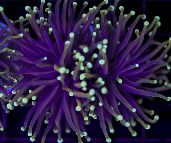 import placeholder for 2993351