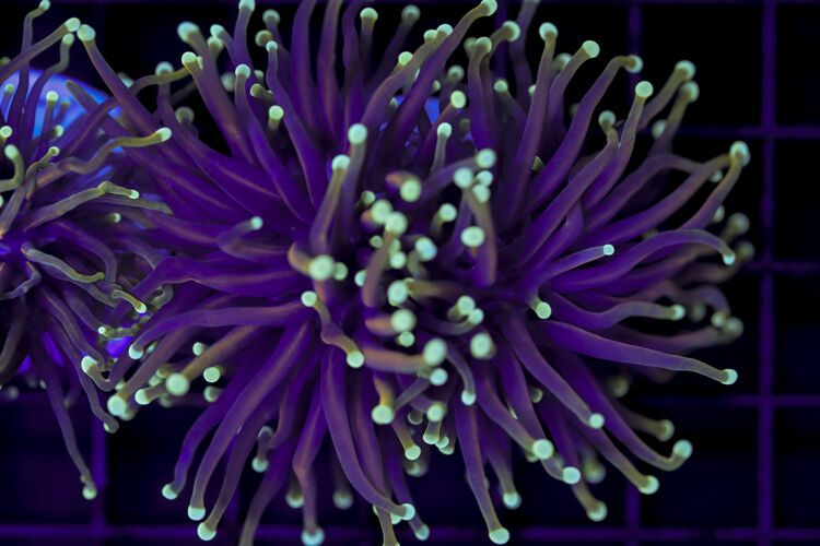 import placeholder for 2993351