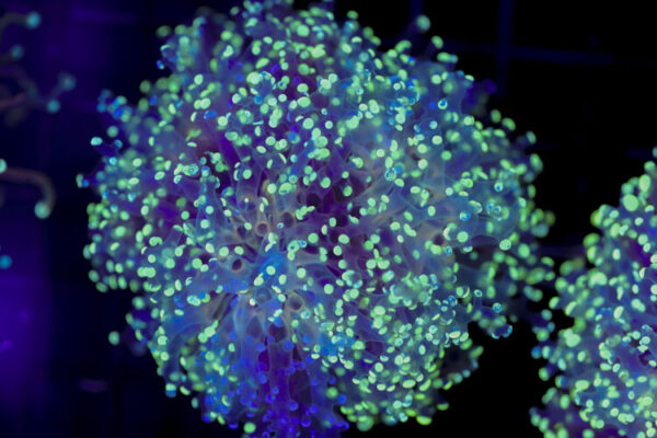 import placeholder for 2993346