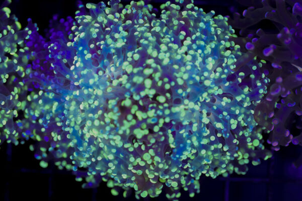 import placeholder for 2993344