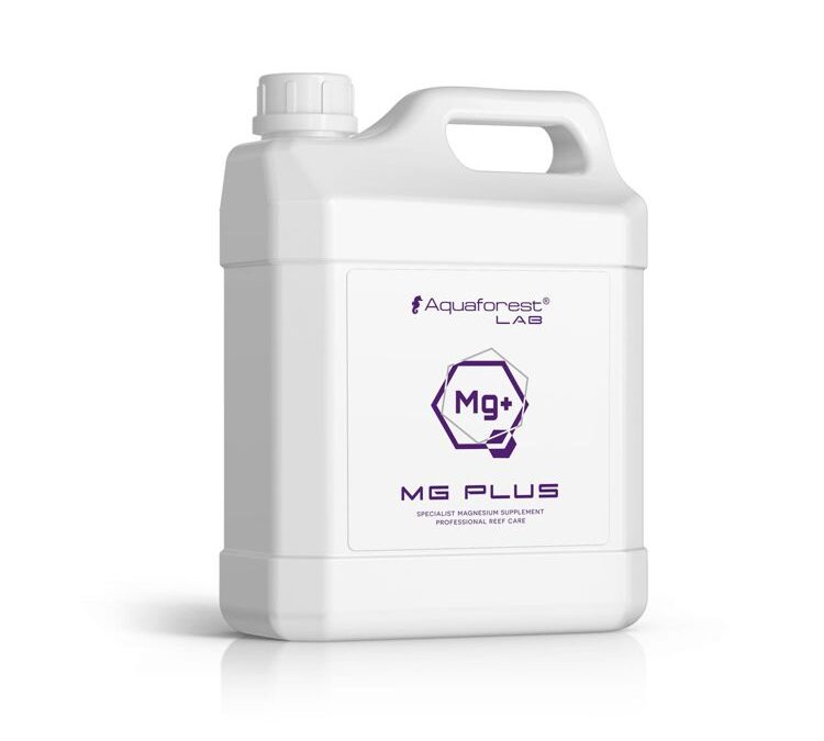 import placeholder for 2409220