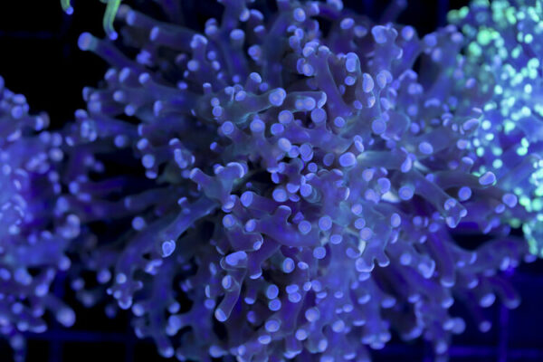 import placeholder for 2993343