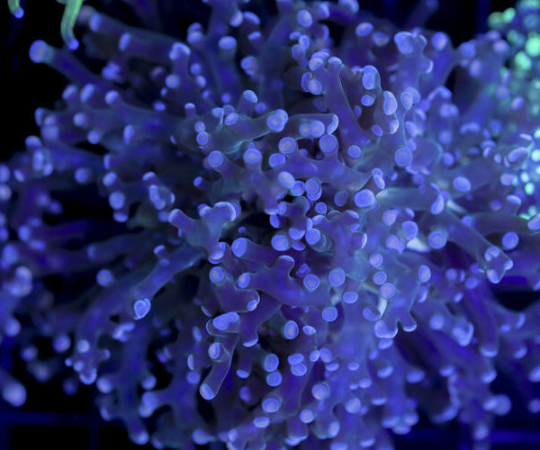 import placeholder for 2993343