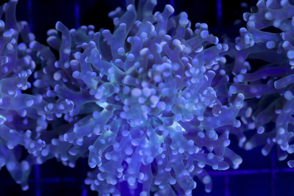 import placeholder for 2993342