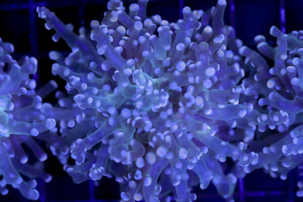 import placeholder for 2993341