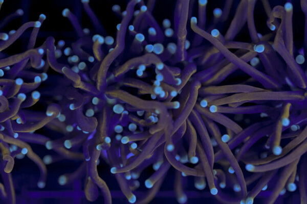 import placeholder for 2993323