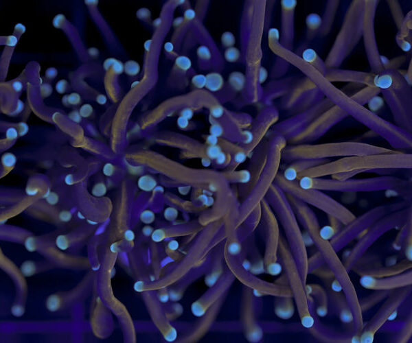 import placeholder for 2993323