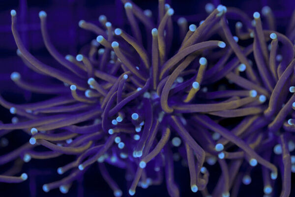 import placeholder for 2993322