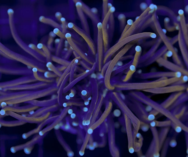 import placeholder for 2993322