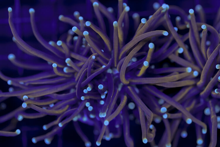 import placeholder for 2993322