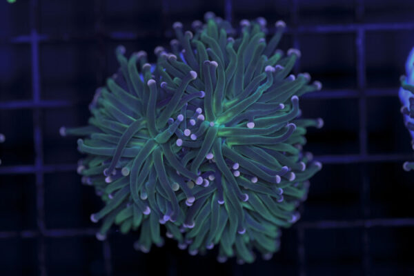 import placeholder for 2993309