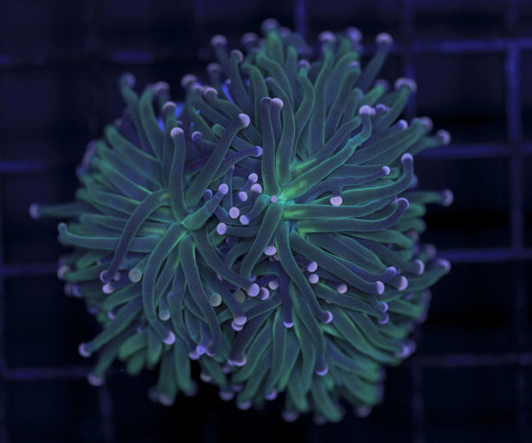 import placeholder for 2993309