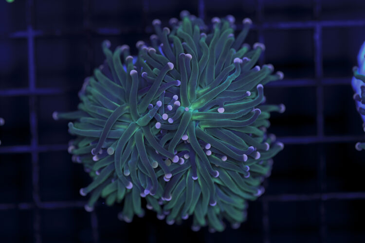 import placeholder for 2993309