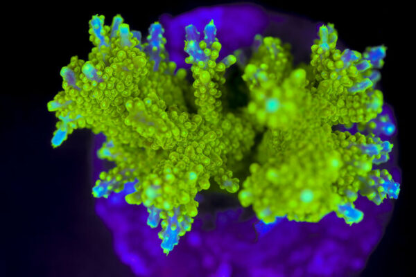 import placeholder for 2991301