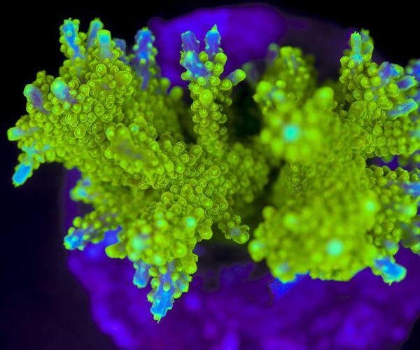 import placeholder for 2991301