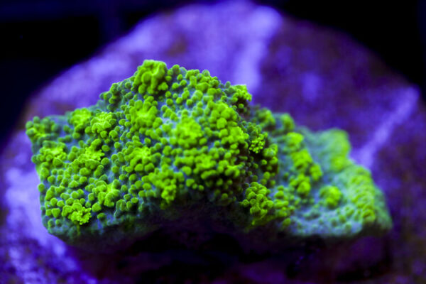 import placeholder for 2991272