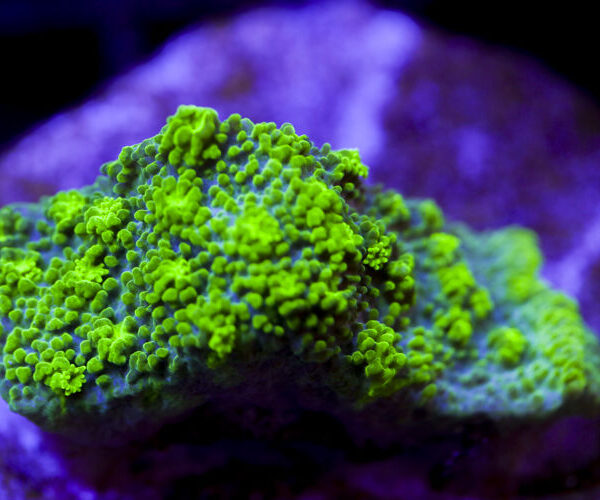 import placeholder for 2991272