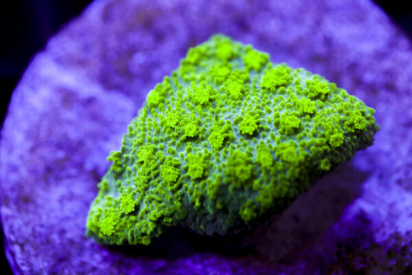 import placeholder for 2991268