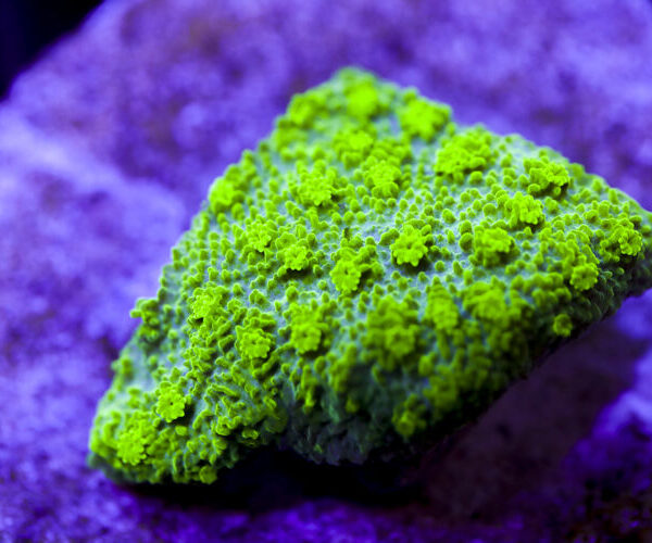 import placeholder for 2991268