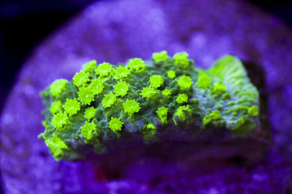 import placeholder for 2991266