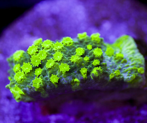 import placeholder for 2991266