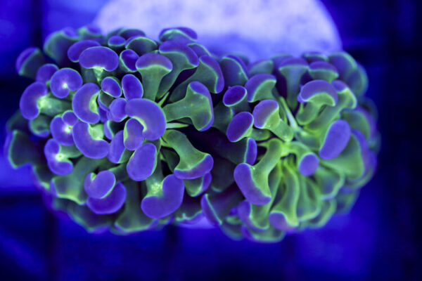 import placeholder for 2991263